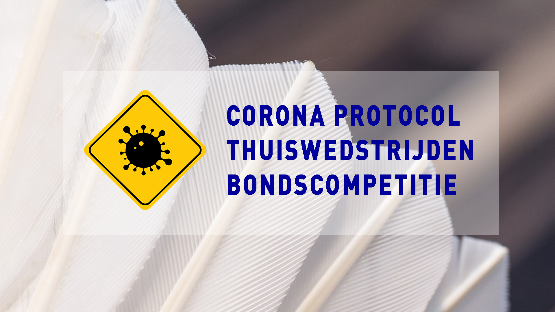 corona protocol