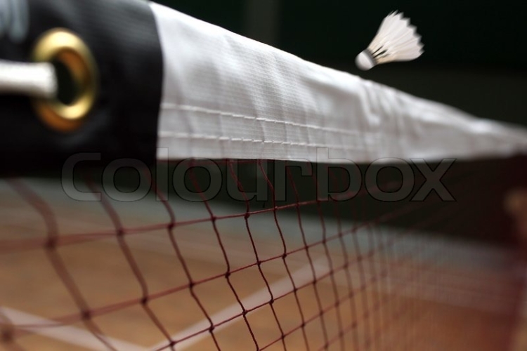 badminton net
