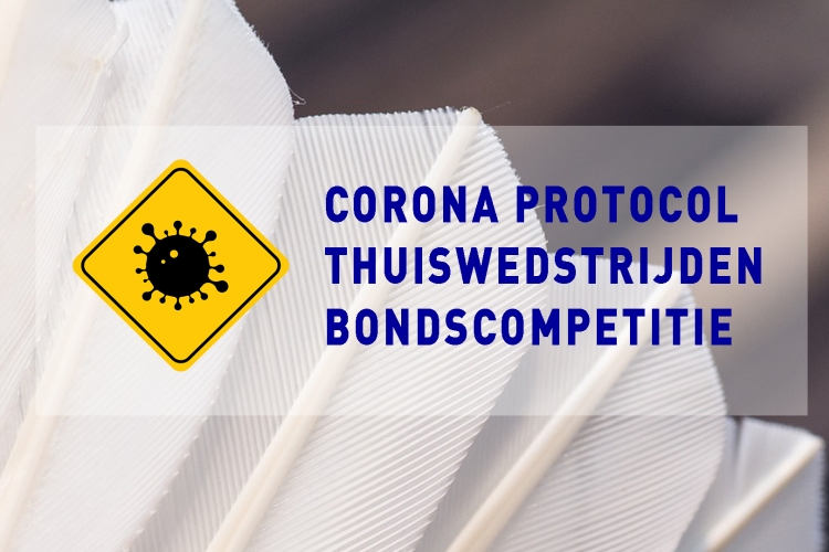 corona protocol